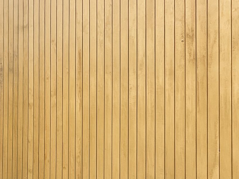 Accoya Close Up 2
