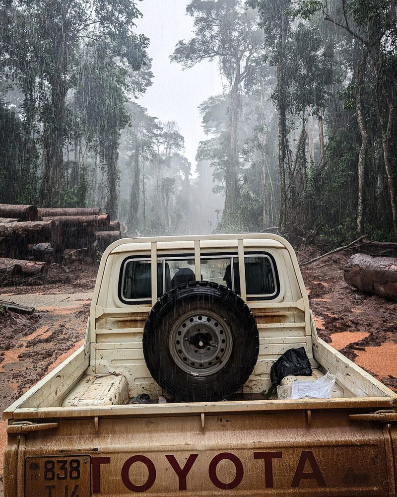 Beige Toyota pickup in a misty rainforest, rear view with a spare tire mounted on the tailgate; muddy ground and stacked logs nearby.