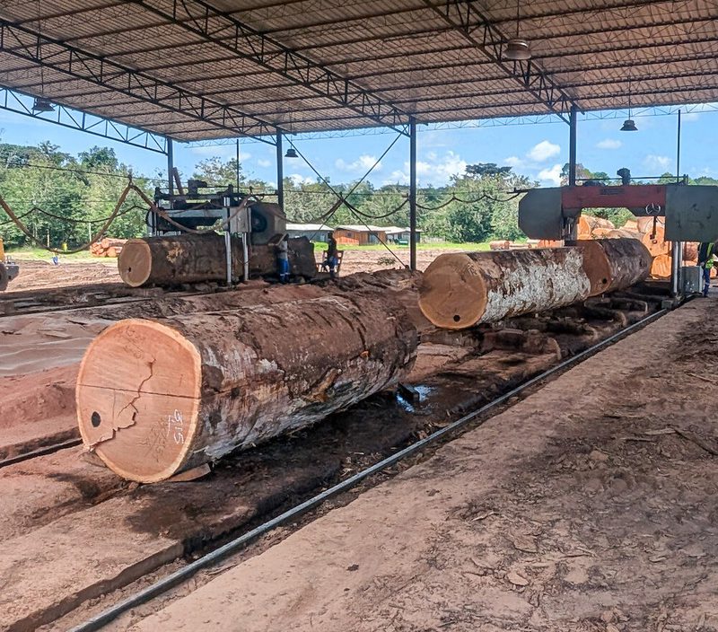 Long logs on rails beneath a metal-roofed sawmill, with heavy machinery and workers nearby on muddy ground, and trees and blue sky beyond.