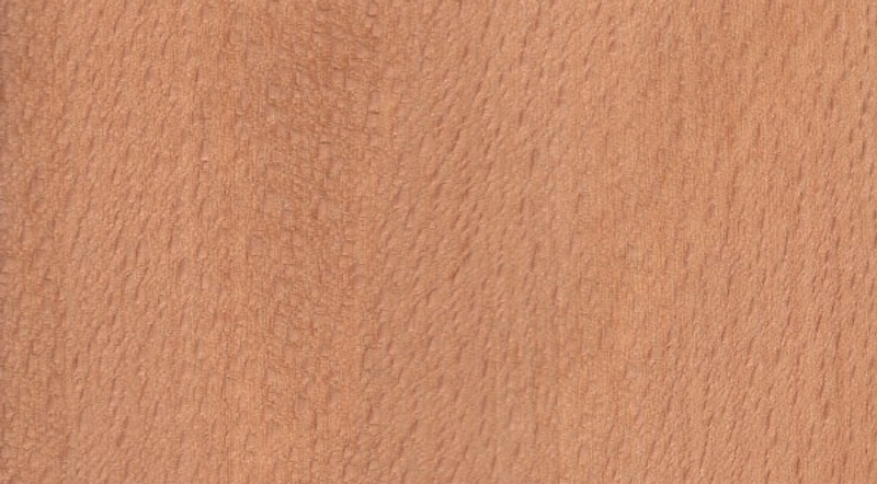 American beech colour grain