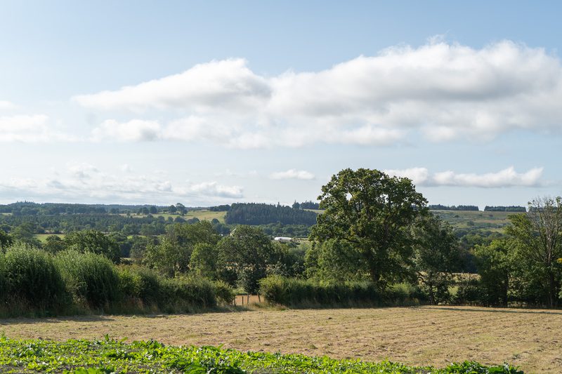 Sunny rural landscape with a harvested field in the foreground, hedgerows and a large tree in the mid-distance, rolling countryside under a blue sky with clouds.