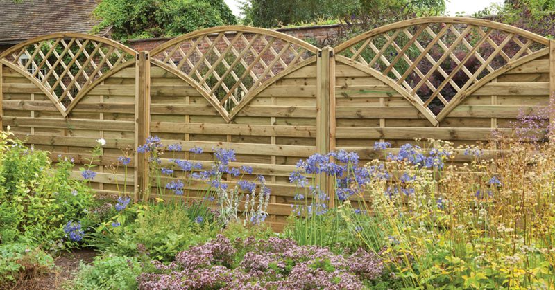 Wooden fence with arched lattice panels behind a colorful garden of blue delphiniums and various flowering plants.