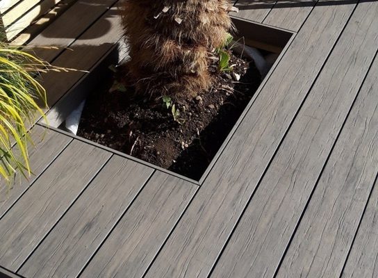 Wooden deck featuring a square planter cut into the boards, housing a palm tree trunk in soil with small plants at the base.