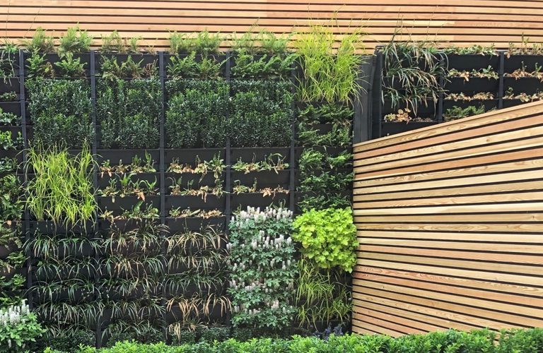 Vertical garden wall with dark planter panels filled with various green plants and grasses, next to a light wooden slatted fence.