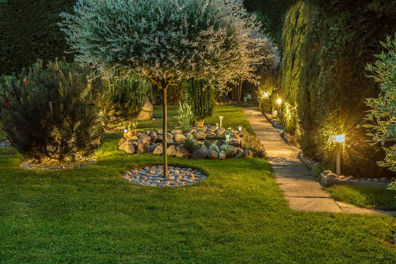 Path Lighting 1