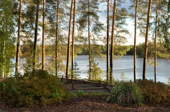 A tranquil lakeside view framed by tall pine trees; wooden steps and railing in the foreground lead to a calm blue lake with a forested shore.
