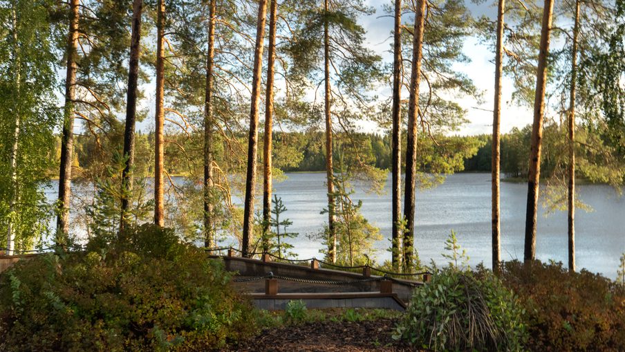 A tranquil lakeside view framed by tall pine trees; wooden steps and railing in the foreground lead to a calm blue lake with a forested shore.