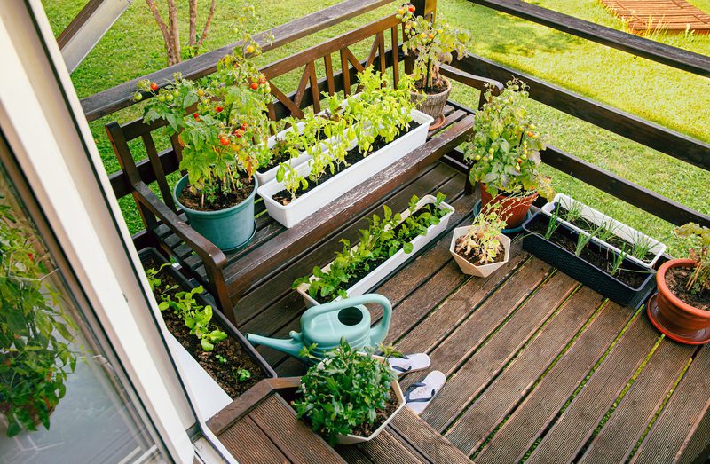 Wooden balcony with potted plants on and beside bench, including tomato plants; a green watering can and sandals on deck, with grassy yard beyond.
