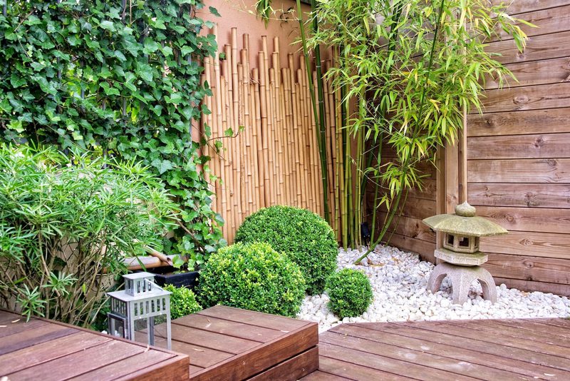 Zen garden scene with bamboo stalks, ivy-covered wall, neatly trimmed boxwood spheres, white gravel and a stone lantern beside wooden decking.