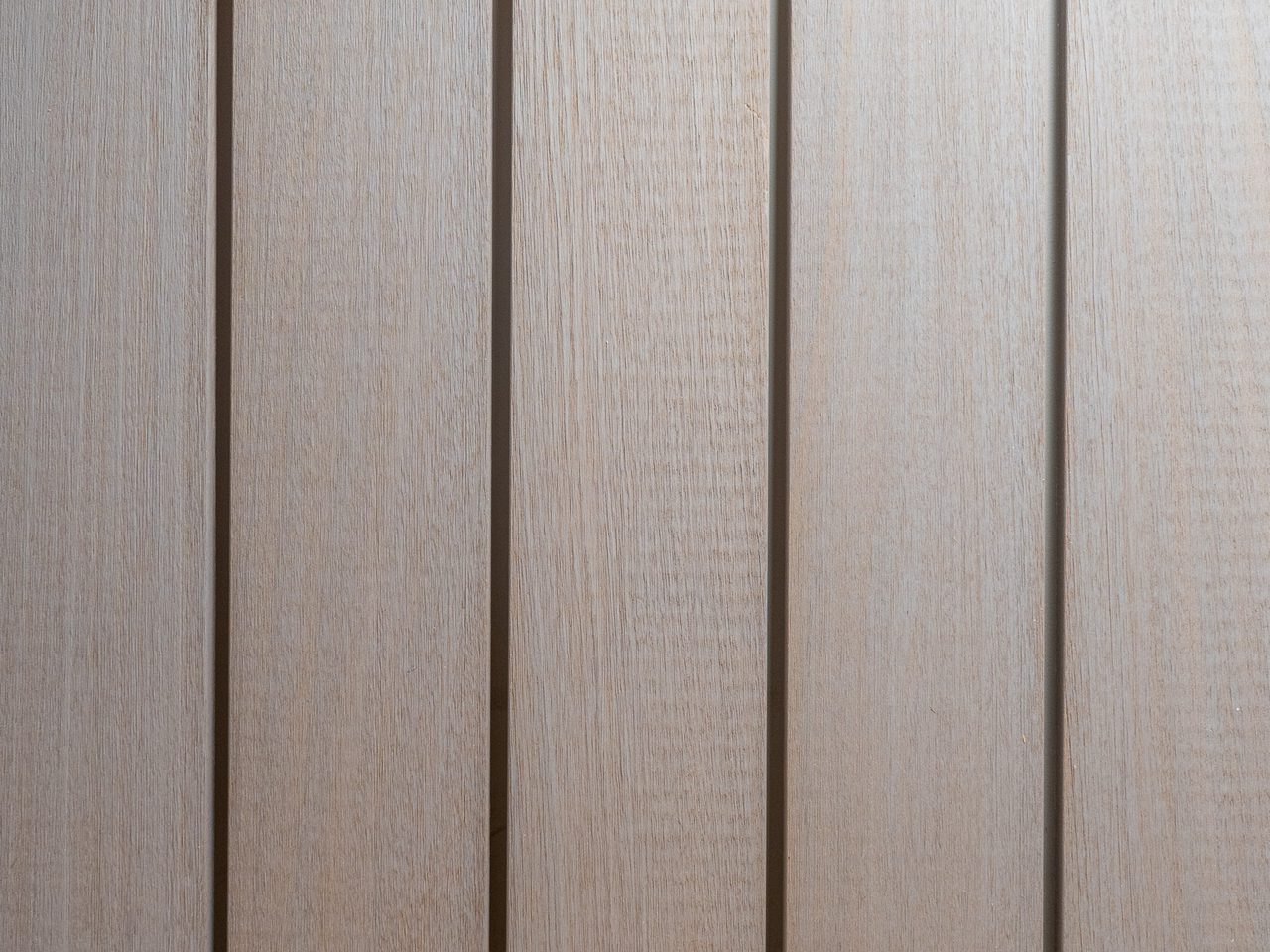 Thermo Ayous Slate 12 months