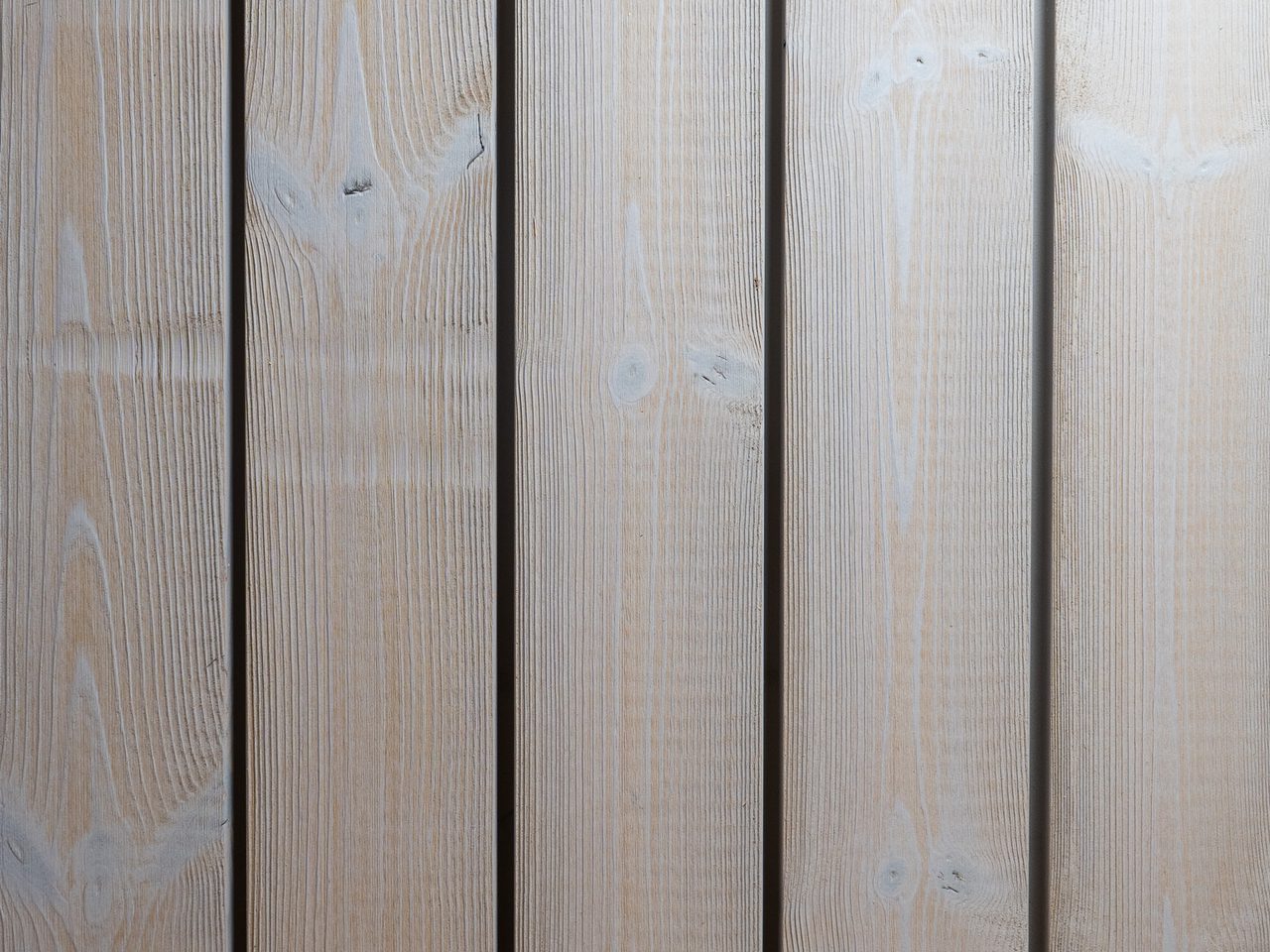Thermo Nordic Pine Concrete 12 months
