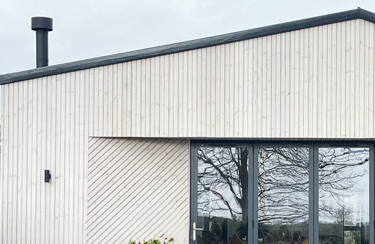 Modern house exterior with light vertical wood siding, a dark-framed glass door, diagonal lower paneling, a chimney on the left, and white roses on the right.