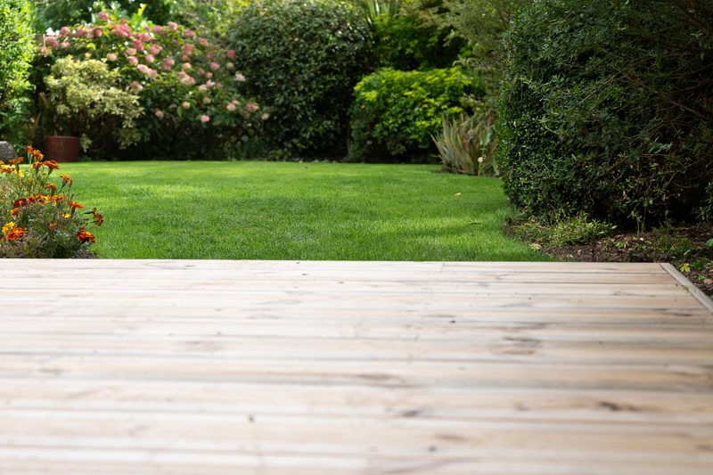 A wooden deck in the foreground opens to a lush green lawn with flowering shrubs and dense hedges in a sunny garden.