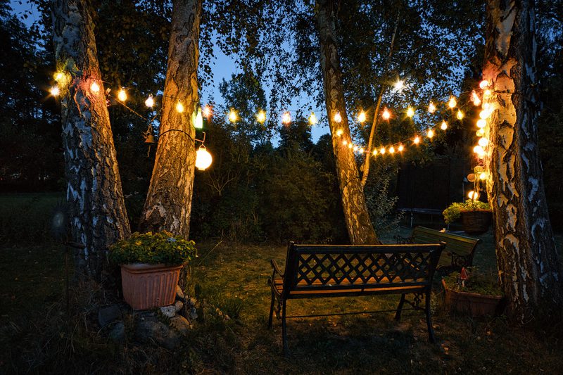 Night garden with warm string lights between birch trees, a black metal bench with lattice back in the foreground, and potted plants nearby.