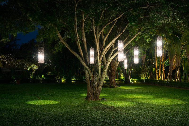 Night garden scene with a large, multi-trunk tree and glowing hanging lanterns, casting light on the lush lawn.
