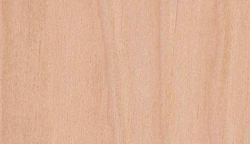 Close-up of a light wood surface with pale beige color and subtle vertical grain patterns.