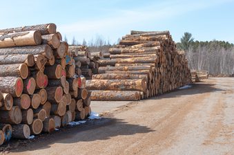 Stacks of cut logs piled in a lumber yard along a dirt road, with a forest backdrop and a clear blue sky.