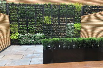 Modern courtyard with a vertical garden wall of plants in black planters, wooden slat fencing, stone paving, and a black planter with a trimmed hedge.