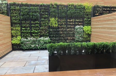 Modern courtyard with a vertical garden wall of plants in black planters, wooden slat fencing, stone paving, and a black planter with a trimmed hedge.