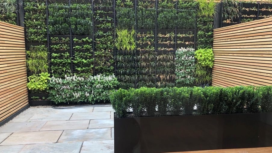 Modern courtyard with a vertical garden wall of plants in black planters, wooden slat fencing, stone paving, and a black planter with a trimmed hedge.