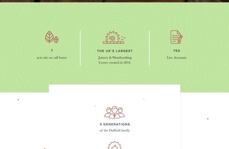 A tall infographic celebrating 60 years of Duffield Timber, with sections on staff, expert knowledge, milestones, and timber products set on wood textures with green accents.