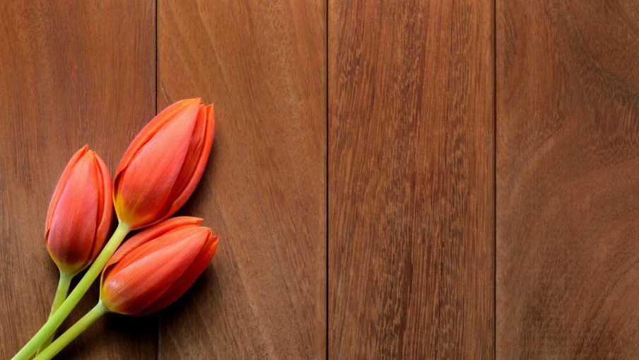 Three orange tulips with green stems rest on a warm brown wooden plank surface.
