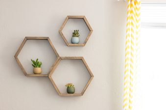 Three hexagonal wooden shelves on a beige wall, each holding a small succulent; bright window with a yellow-and-white striped curtain on the right.