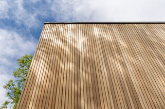 Tall wall of vertical brown wooden slats dominates the frame; a green tree peeks in from the left, with a blue sky and clouds overhead.