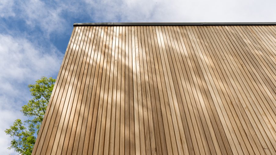 Tall wall of vertical brown wooden slats dominates the frame; a green tree peeks in from the left, with a blue sky and clouds overhead.