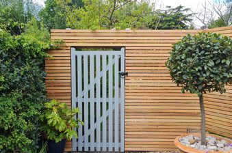 Wooden slat fence with a gray gate featuring vertical slats and diagonal braces; dense hedge left and a potted rounded-leaf tree on the right.