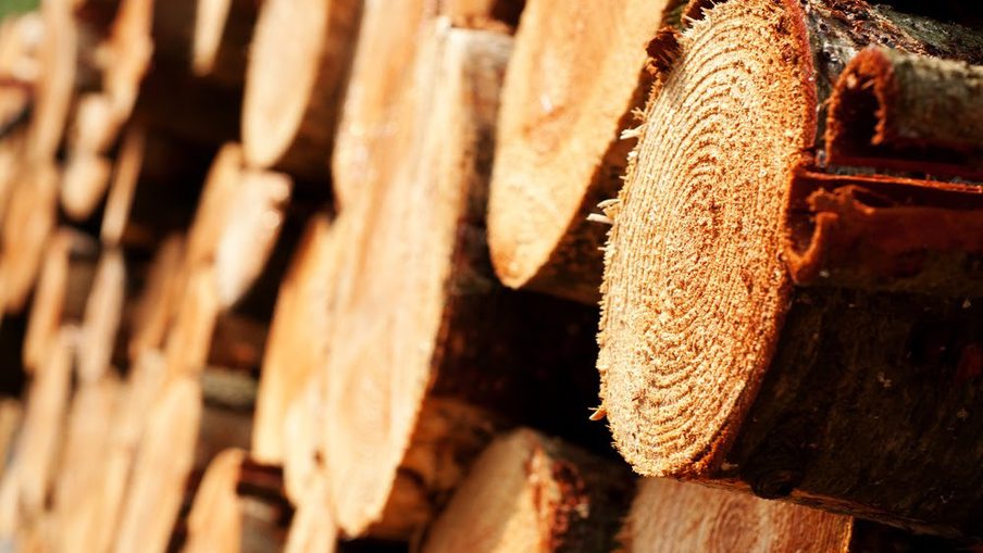 Close-up of a stacked log pile with exposed end grain, showing rings and rough bark in warm golden-brown tones.