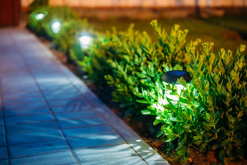 Nighttime walkway beside a neatly trimmed hedge, with small garden lights illuminating the green leaves along the path.