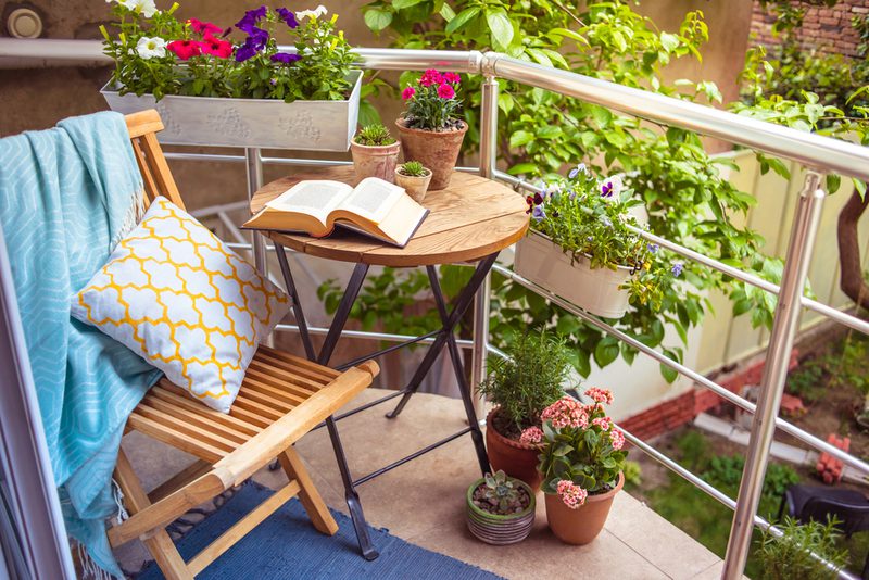 Garden Trends Tiny 1