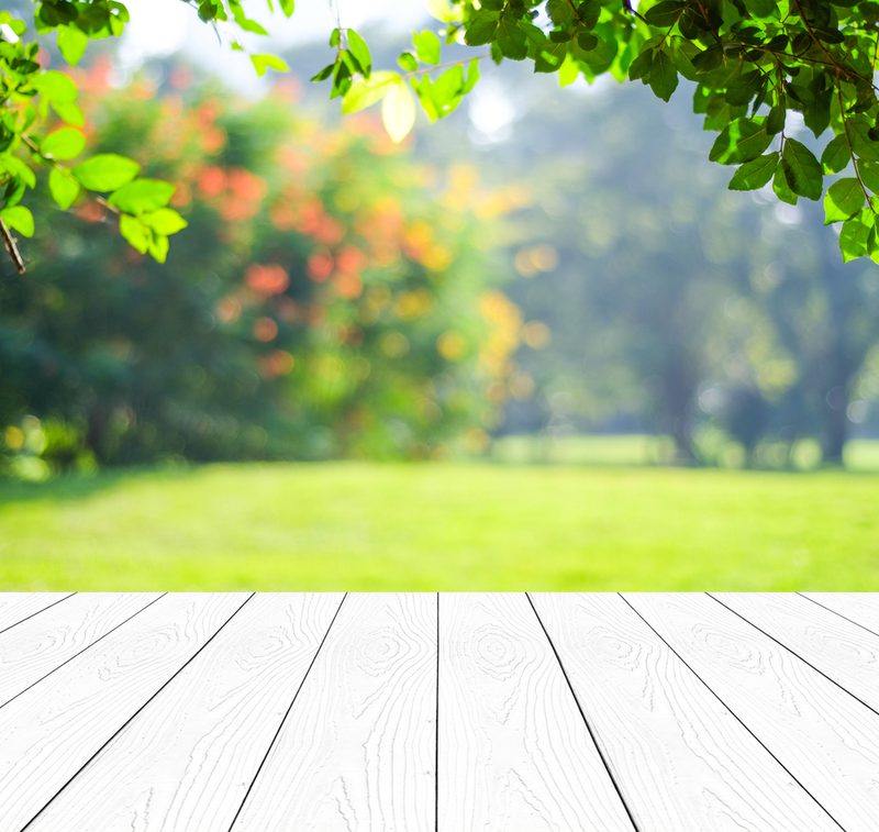 Light wooden deck in the foreground, a sunlit green park beyond with blurred trees and colorful foliage, framed by overhanging leaves at the top.