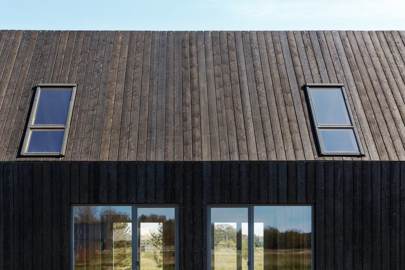 Charred Cladding