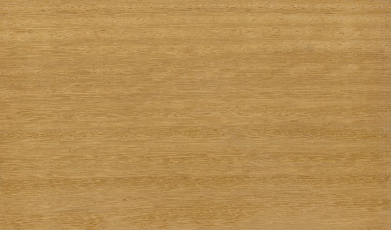 Close-up of a warm, golden-brown wood surface with subtle horizontal grain pattern.