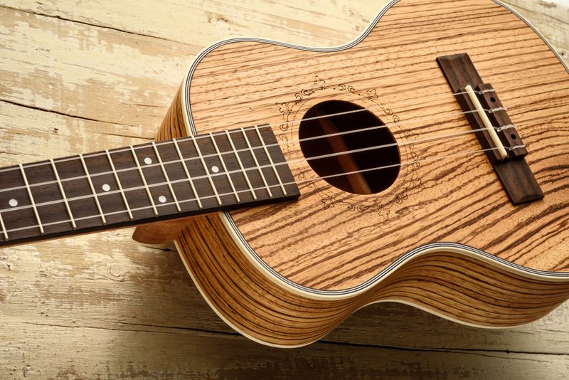 Zebrano Guitar