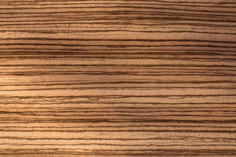 Zebrano closeup