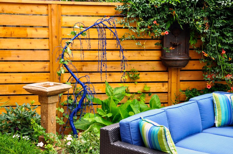 Backyard scene with a wooden fence, a blue curved sculpture among plants, a stone birdbath left, and a blue outdoor sofa with striped cushions.