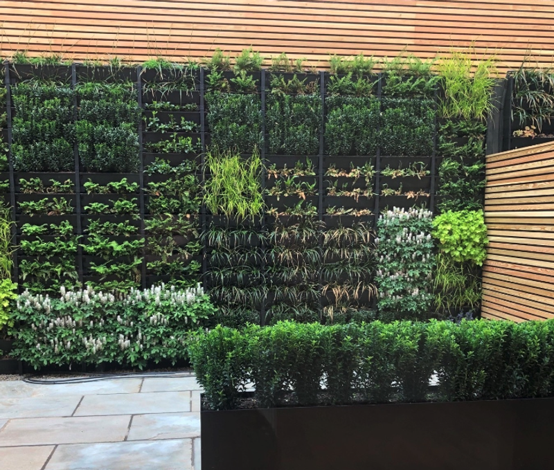 Vertical garden wall with black modular planters full of green plants, wooden slat panels, and a low hedge in a black planter on a stone patio.