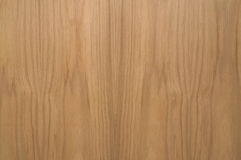 European Oak close up