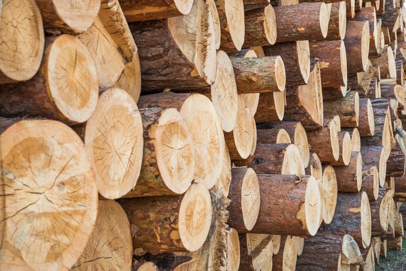 Hardwood v Softwood 1