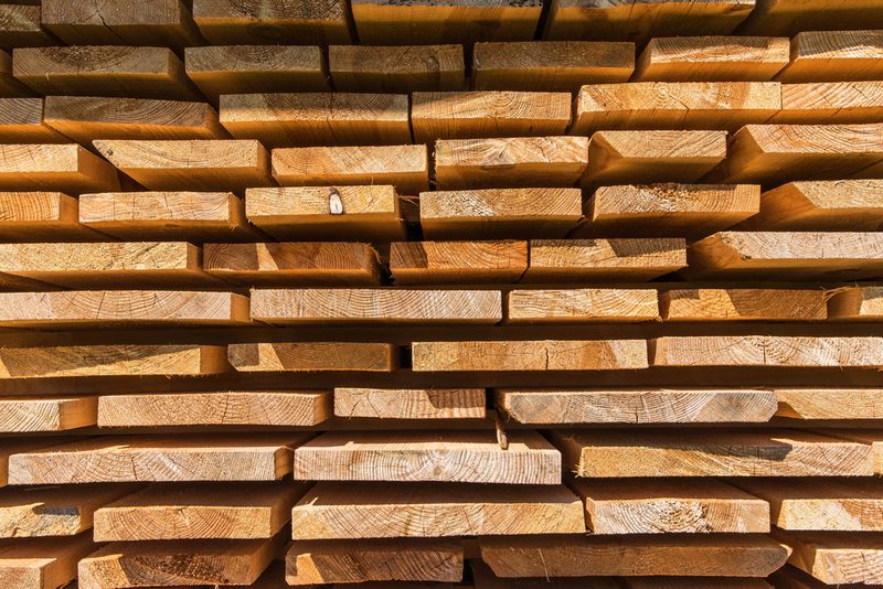 Hardwood v Softwood 4