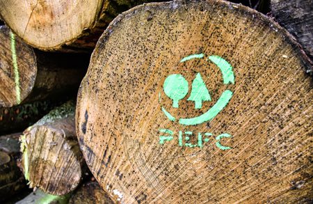 Stack of cut logs with a bright green PEFC logo painted on the end, showing growth rings and wood texture.