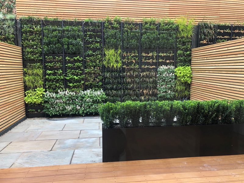 Vertical garden wall with assorted plants in grid panels, flanked by wooden slat screens; stone patio and a black rectangular planter with a trimmed hedge in front.