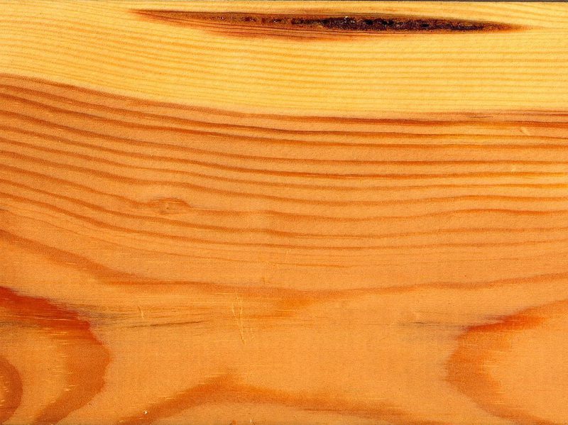 Close-up of warm orange wood grain on a plank, with flowing horizontal lines and a couple of knots near the bottom.