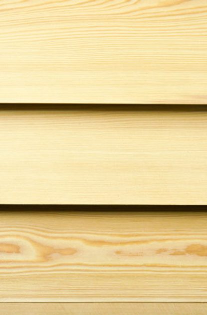 Siberian Larch