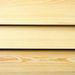 Siberian Larch