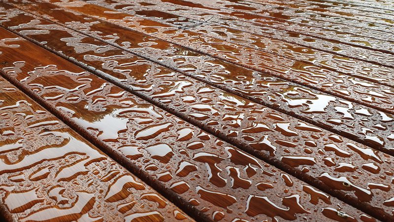 Best Outdoor Wood 5