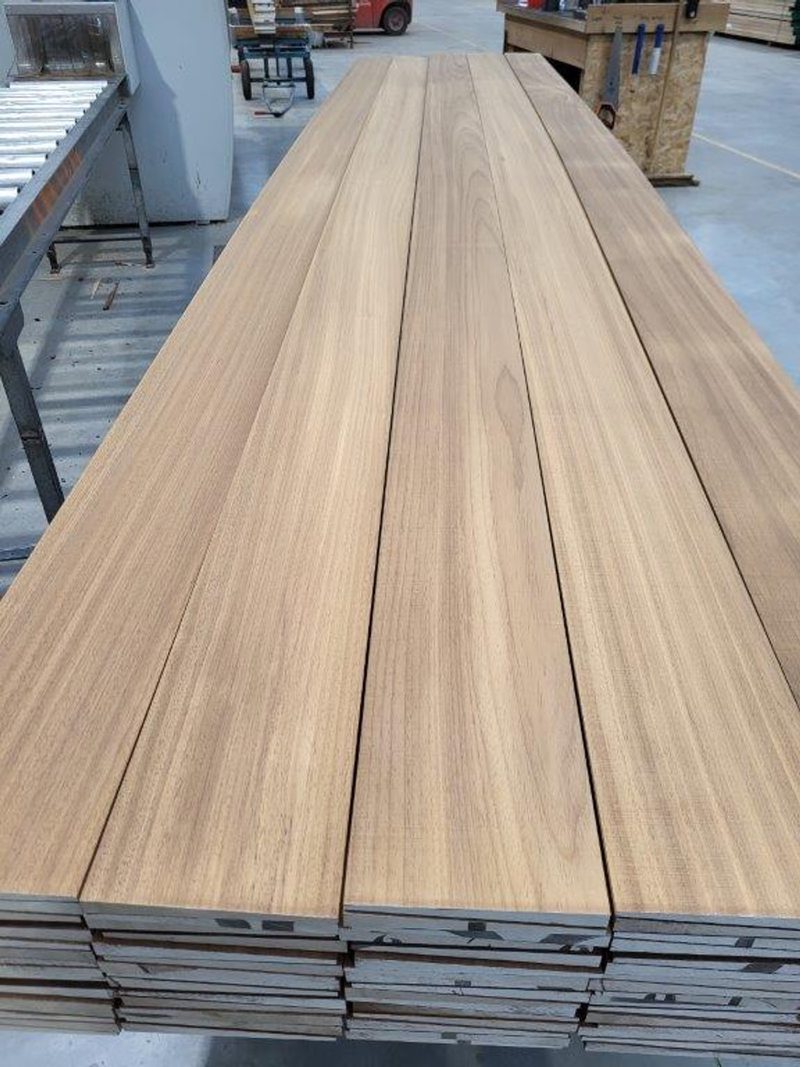 Thermo Ayous Feather Edge